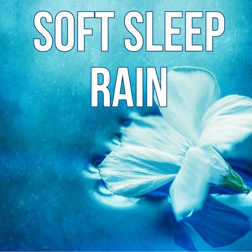 Soft Sleep Rain - Nature Sounds, Deep Meditation, Total Relax, Sleep Music, Sleep Time