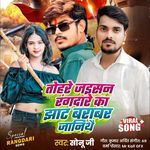 TOHRE JAISAN RANGDARE KA HAM JHAT BARABAR JANITTHE