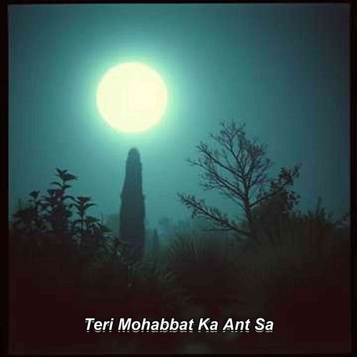 Teri Mohabbat Ka Ant Sa