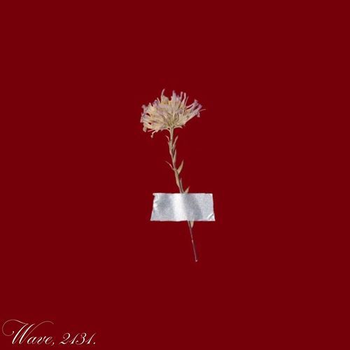 CELINE cover art