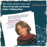 Clarinet Quintet in B-Flat Major, Op. 34, J. 182: I. Allegro (Version with String Orchestra)