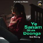 Ye Sanam Bhula Doonga