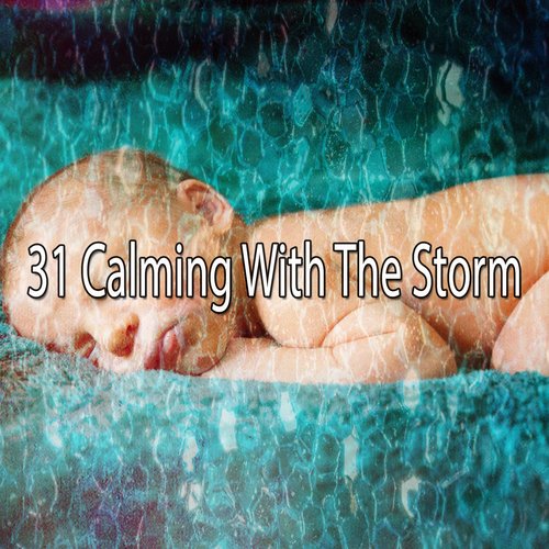 31 Calming with the Storm_poster_image