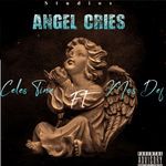 ANGEL CRIES
