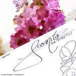 Aconito (feat. YAI &amp; BINCON)