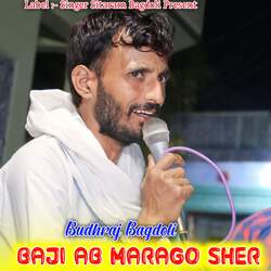 Baji Ab Marago Sher-FjAydTcIVUU