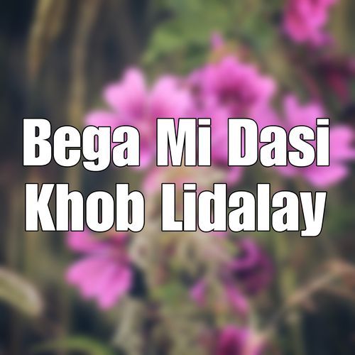 Bega Mi Dasi Khob Lidalay