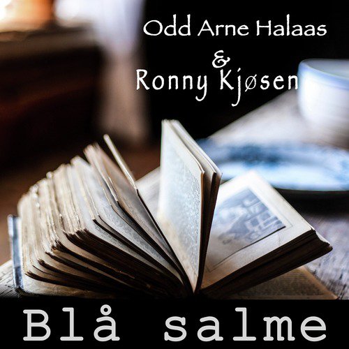  Odd Arne Halaas