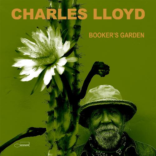 Booker's Garden_poster_image