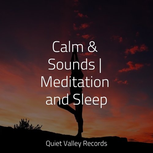 Calm & Sounds | Meditation and Sleep
