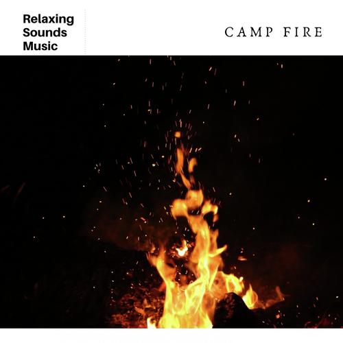 Camp Fire_poster_image