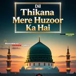 Dil Thikana Mere Huzoor Ka Hai