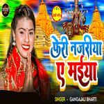 Feri Najriya Ye Maiya