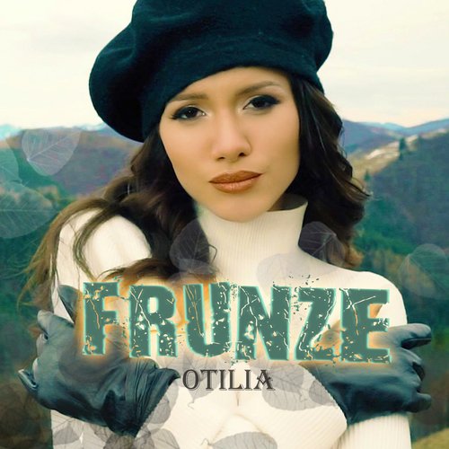 Frunze_poster_image