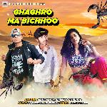 Ghaghro Ma Bichhoo