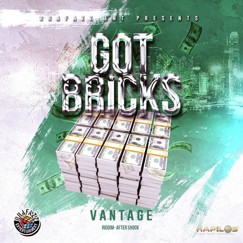 Got Bricks_poster_image