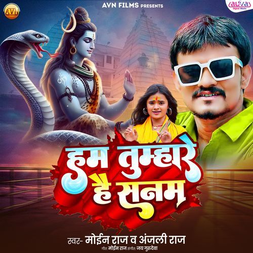 Ham Tumare Hai Sanam