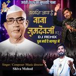 Janmdin Aaya Hai Mere Jumdevji ka (Dj Remix) artwork