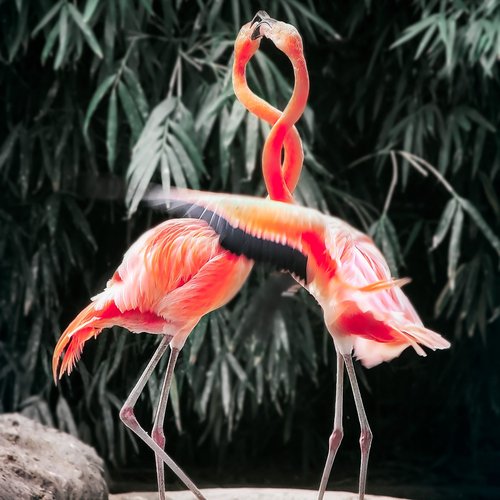 Limon (Sydney Seymour Remix) cover art