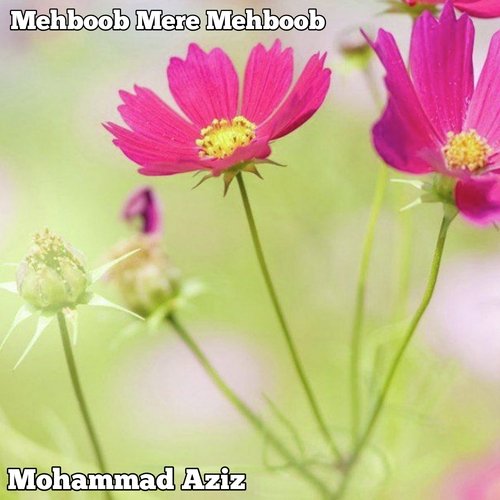 Mehboob Mere Mehboob