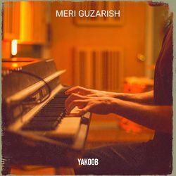 Meri Guzarish-JB5cZSBCbnk