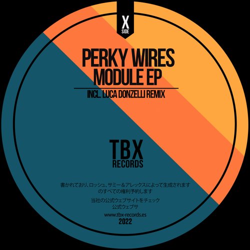 Module (Luca Donzelli Remix) cover art