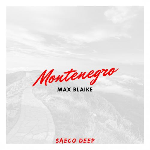 Montenegro (Original Mix) cover art
