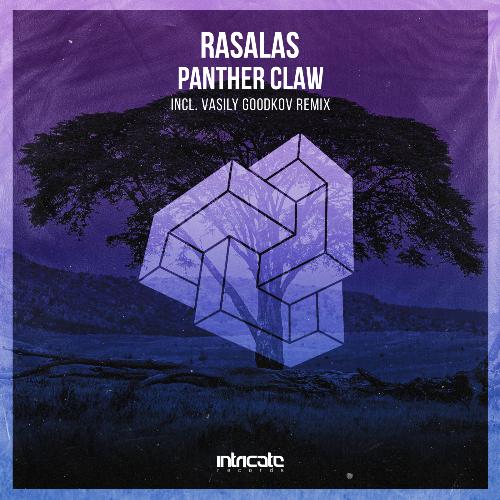 Panther Claw (Vasily Goodkov Remix) cover art