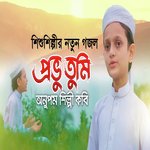 Provu Tumi Onupom Shilpi Kobi