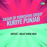 Sagar Of Yorkshire Group Kuriye Punjab