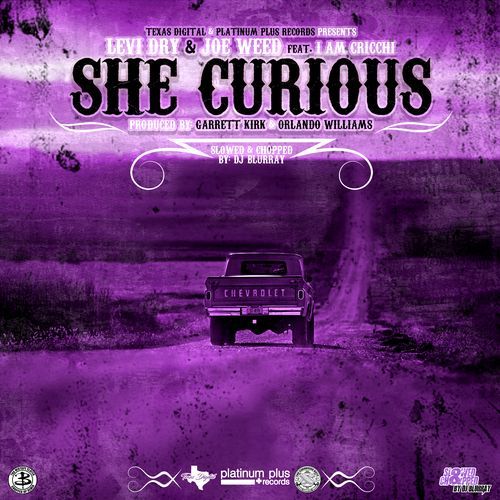 She Curious (Slowed & Chopped)_poster_image