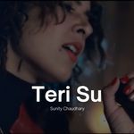 Teri Su