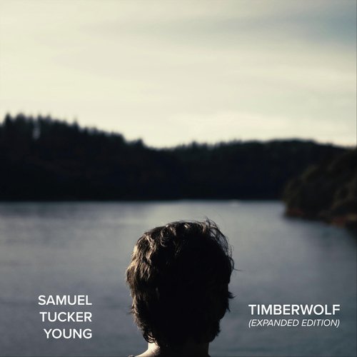 Davidson (Demo 2014) cover art
