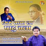 bhim baba la pahu chala