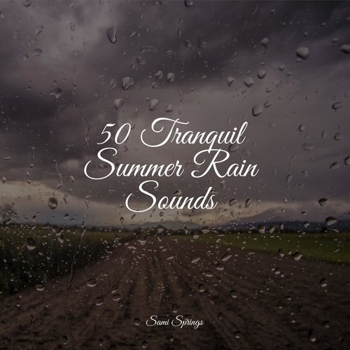 50 Tranquil Summer Rain Sounds