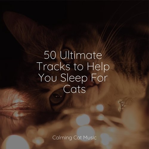 50 Ultimate Tracks to Help You Sleep For Cats_poster_image