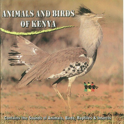 Animals and Birds of Kenya