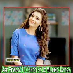 Are Bewafa Tu Chhod Ke Jo Mujhko Jayega