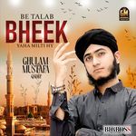 Be Talab Bheek Yha Milti Hy