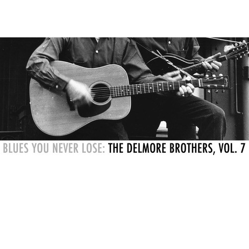 Blues You Never Lose: The Delmore Brothers, Vol. 7
