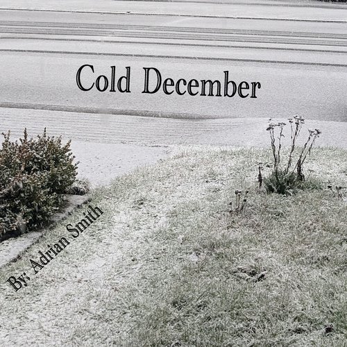 Cold December