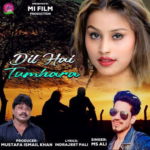 DIL HAI TUMHARA