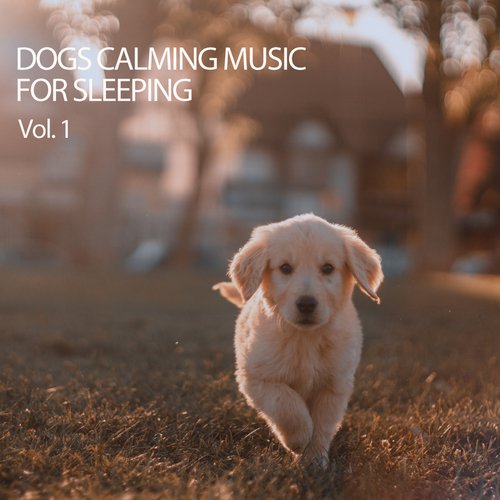 Dog Bite cover art