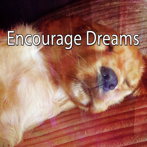 Encourage Dreams