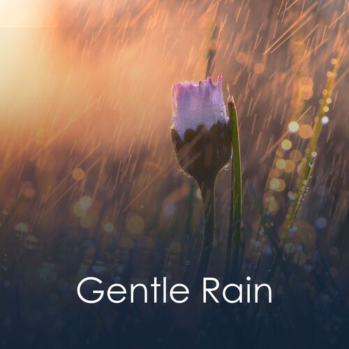 Gentle Rain_poster_image