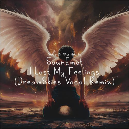 I Lost My Feelings (Dreamskies Vocal Remix)