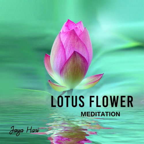 Lotus Flower Meditation_poster_image