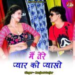 Main Tere Pyaar Ko Pyaaso