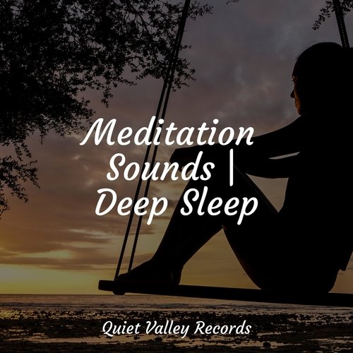 Meditation Sounds | Deep Sleep