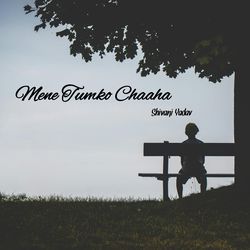 Mene Tumko Chaaha-RwsnekJJeQE